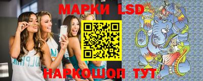 spice Кимры